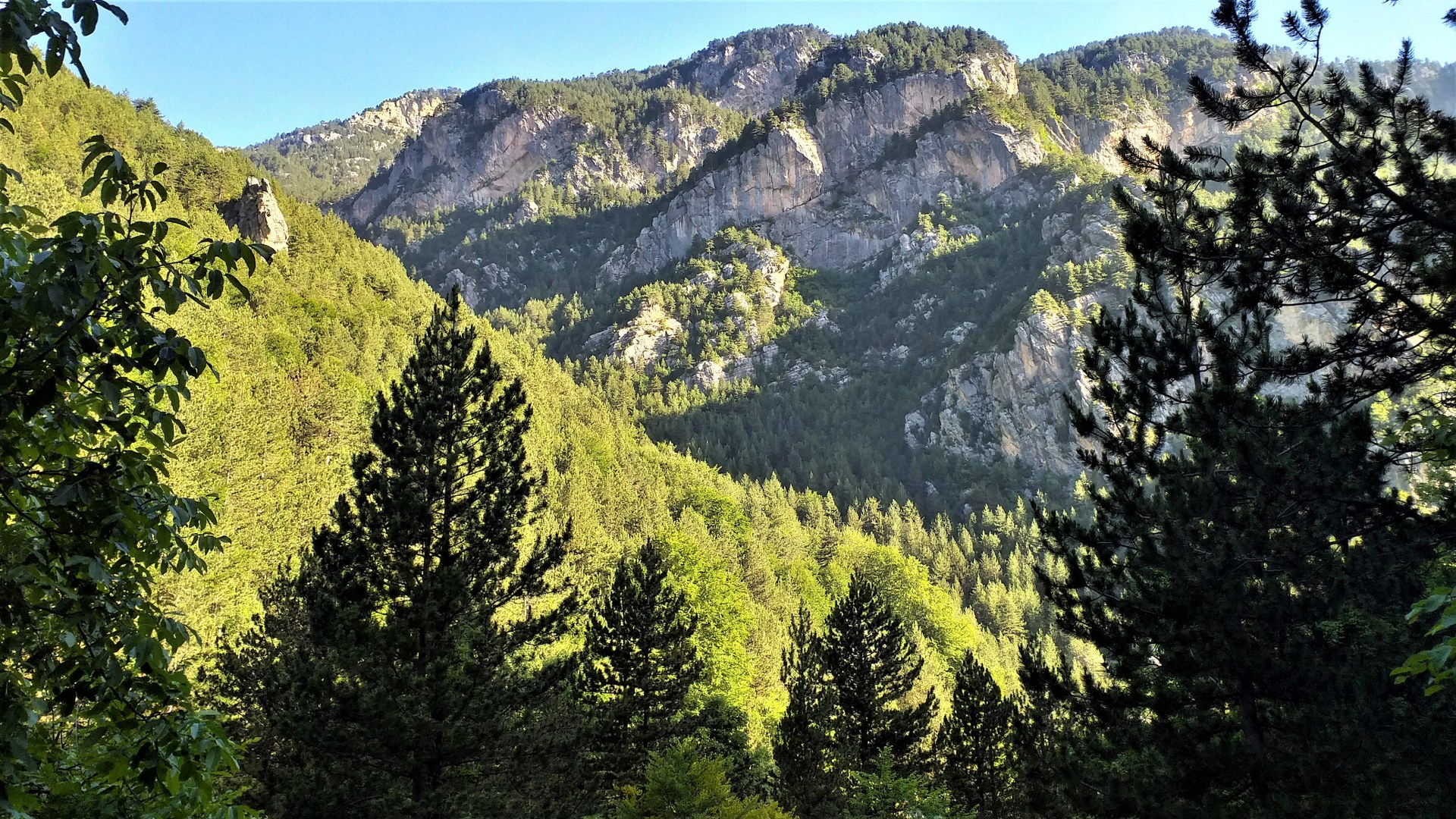Natural Beauty Tours
