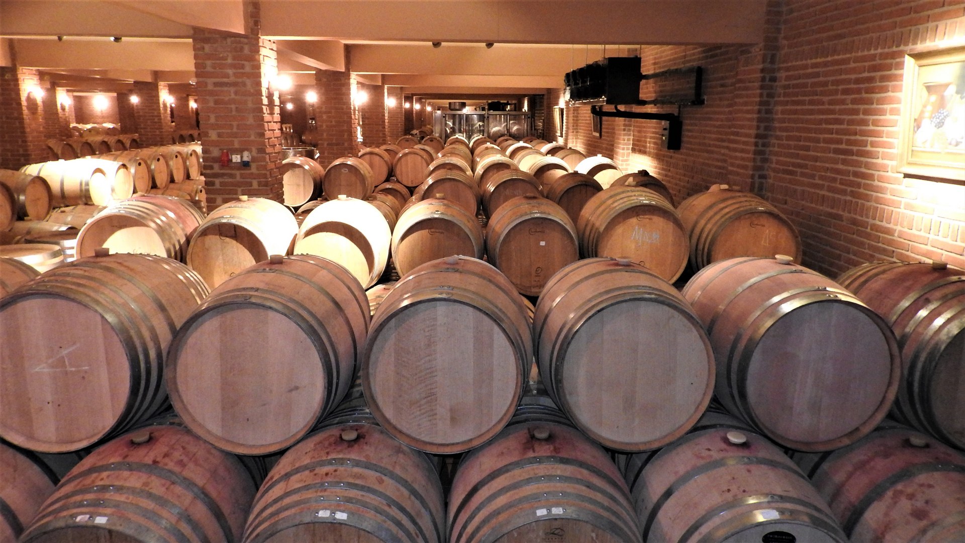Wine Tours